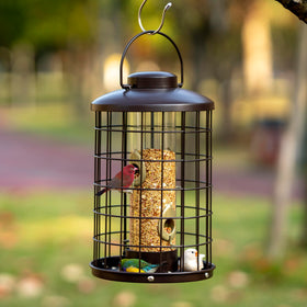 Mosloly clear-tube design highlights seed visibility and easy monitoring for birds.