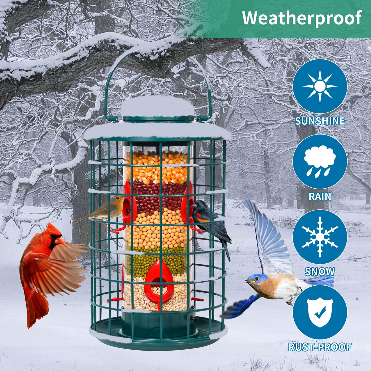 Mosloly caged bird feeder detachable assembly simplifies cleaning