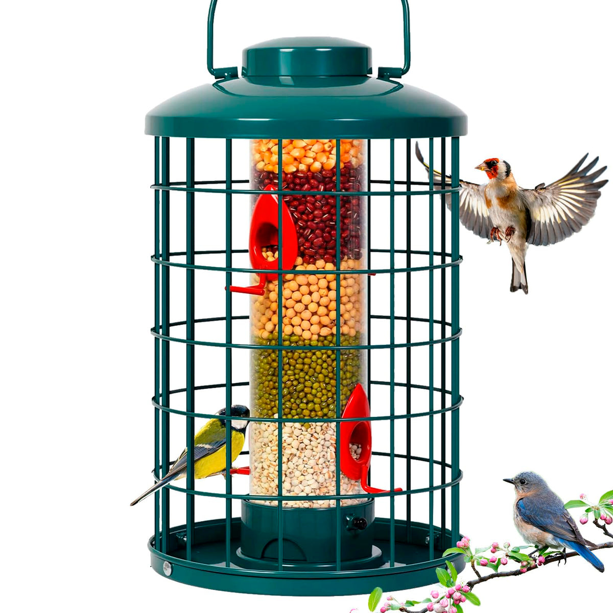Mosloly caged bird feeder full view shows ample feeding space for wild birds