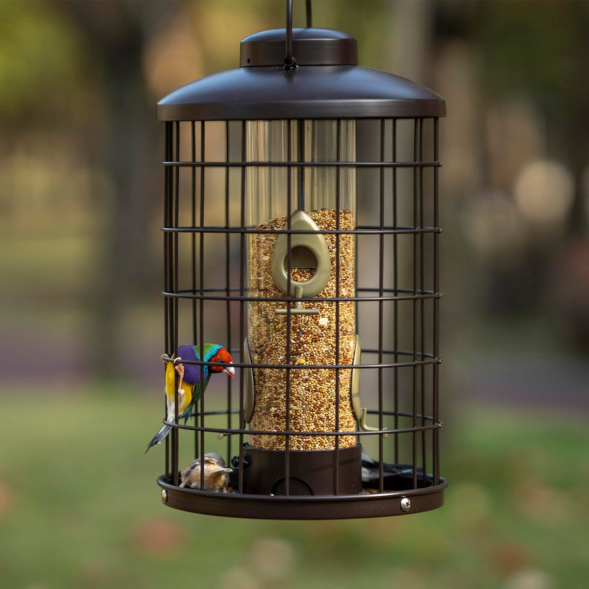 Mosloly outdoors hanging setup for flexible yard placement and bird watching.