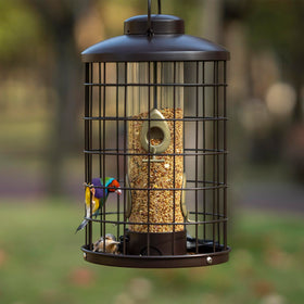 Mosloly outdoors hanging setup for flexible yard placement and bird watching.