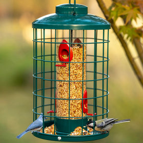 Mosloly caged bird feeder weather-proof dome keeps seeds dry outdoors