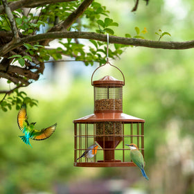 Mosloly clear tube seed window highlights 2.8 lb capacity.