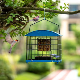 Mosloly dual-purpose feeder with tray, easy refilling and monitoring