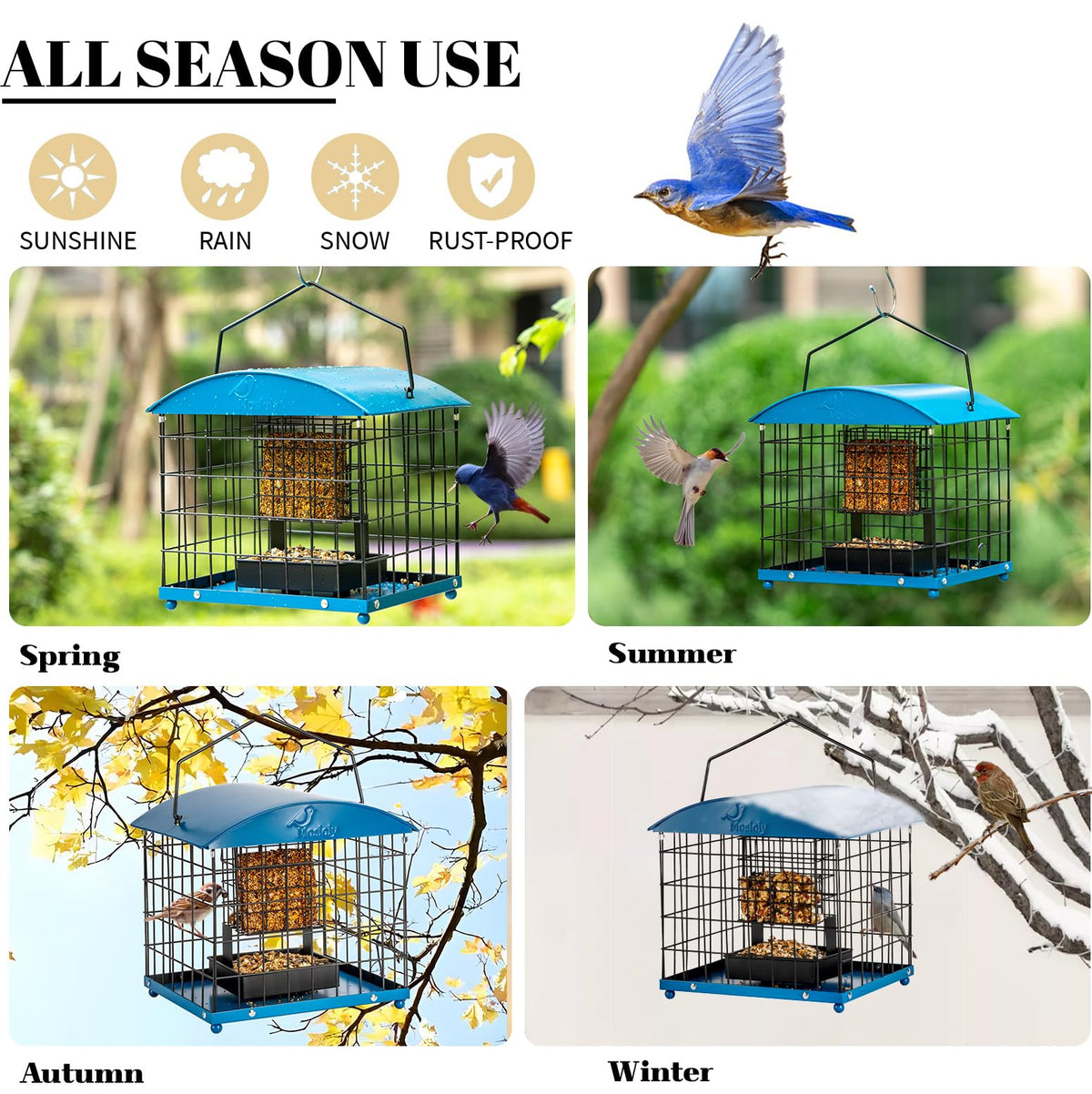 Mosloly lid protects suet from rain, keeping food dry