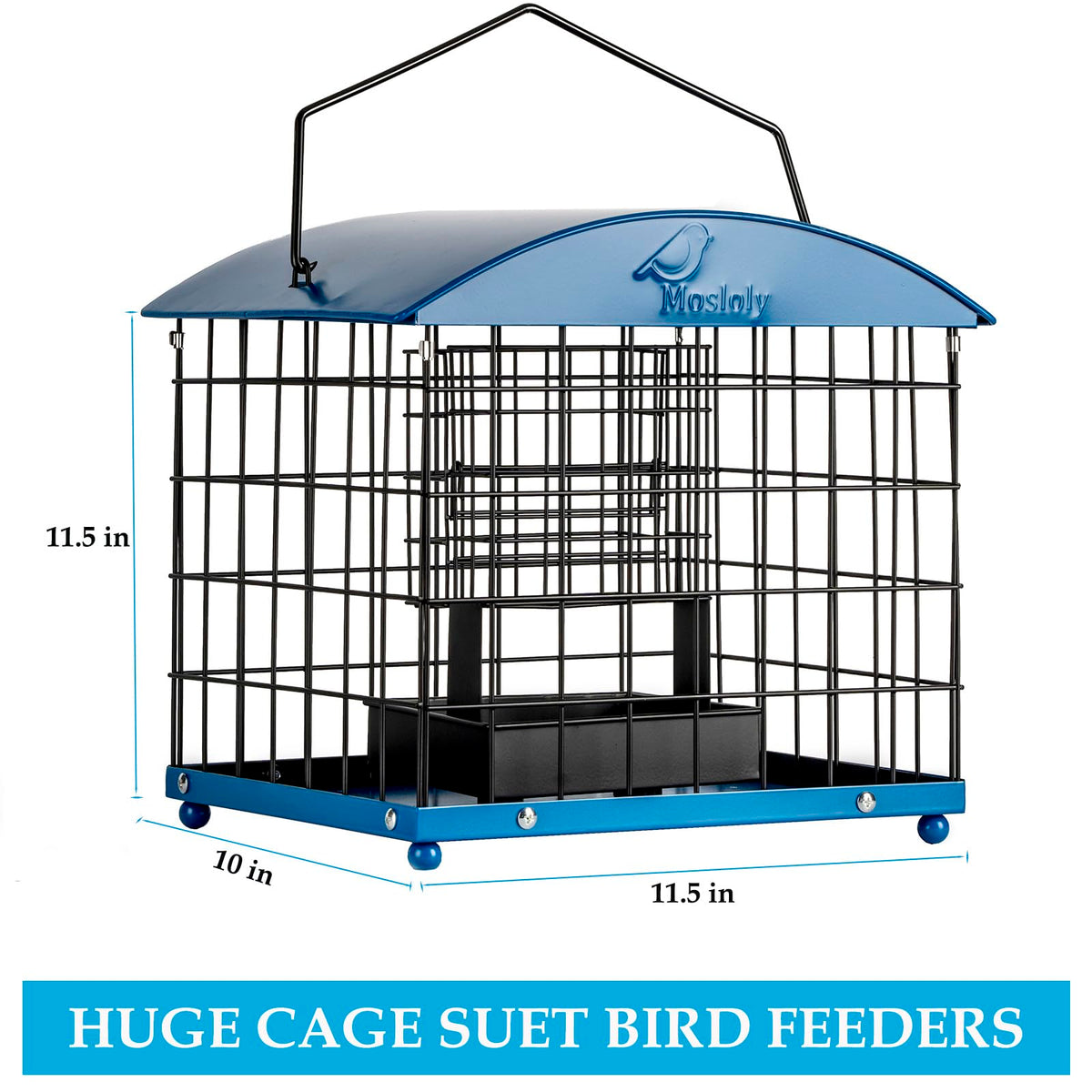 Mosloly outdoor hanging feeder in garden, attracts small yard birds