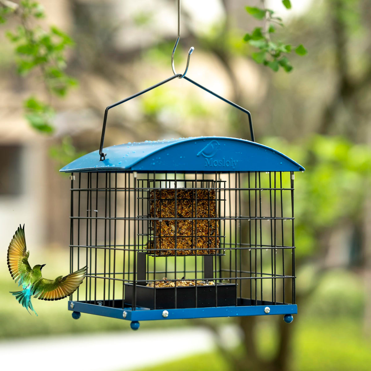 Mosloly bird friendly design supports small species such as finches