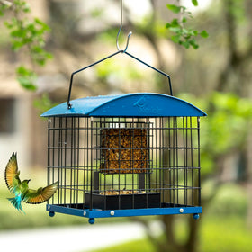 Mosloly bird friendly design supports small species such as finches