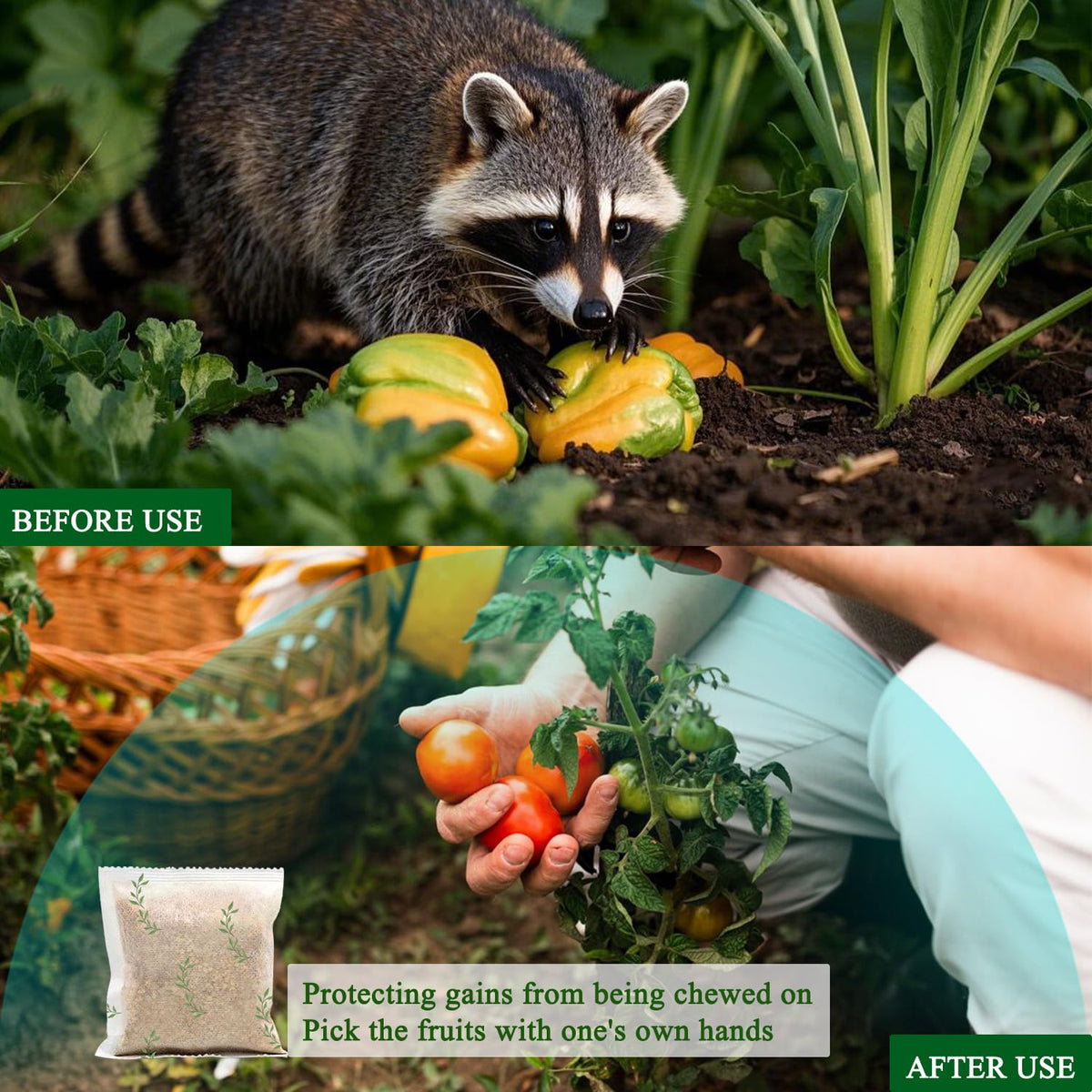Mosquashield bags in use protect trash and garden spaces from raccoons
