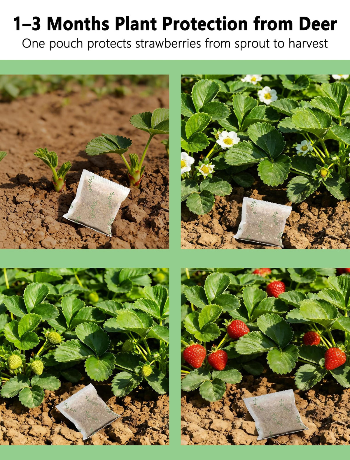 Mosquashield sachet perimeter guarding fruit trees and shrubs