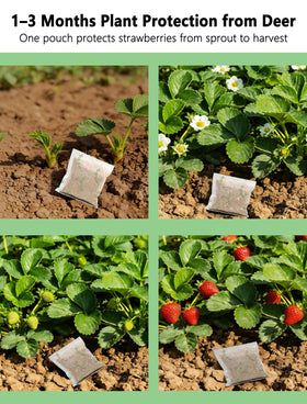 Mosquashield sachet perimeter guarding fruit trees and shrubs