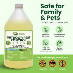Mosquito Magician treated yard and patio areas deterring pests outdoors.