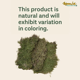 Craft moss texture enhances wreaths and miniature displays