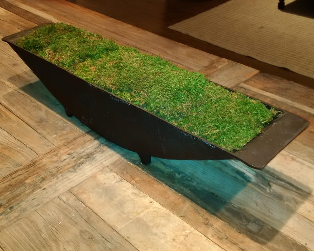 Decorative moss used in dish gardens and centerpieces