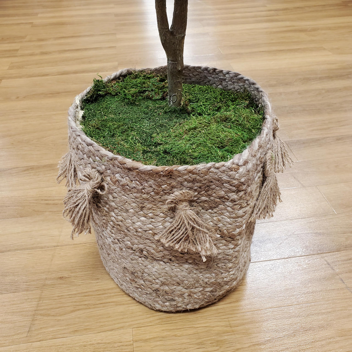 Forest-floor moss sheets showcased for natural green accents