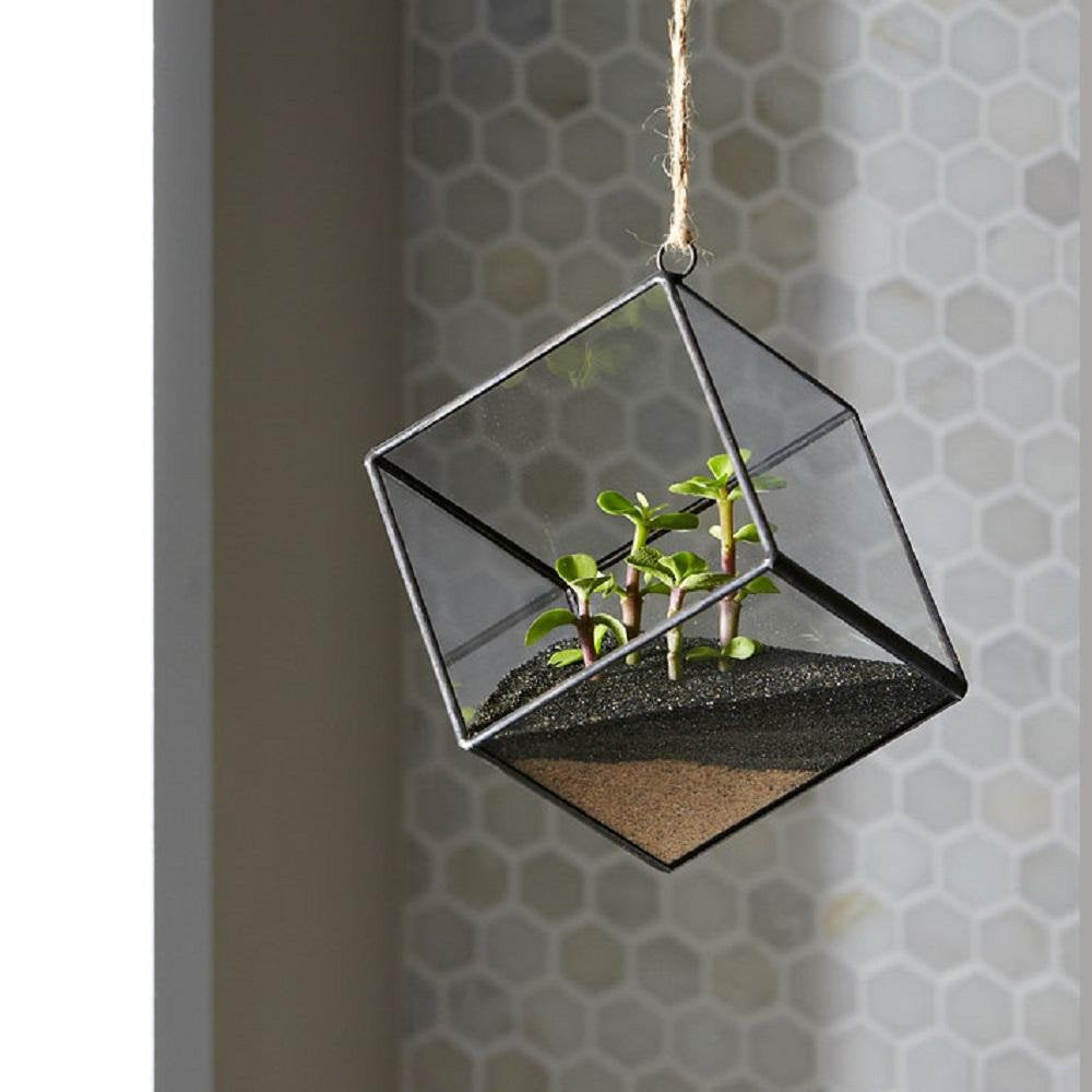 Decorative use of Mosser Lee ML1112 black sand soil cover in containers
