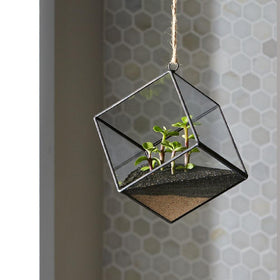 Decorative use of Mosser Lee ML1112 black sand soil cover in containers
