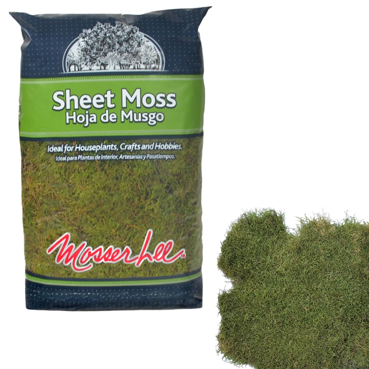 Mosser Lee natural green sheet moss covers a plant pot for added decor and moisture control