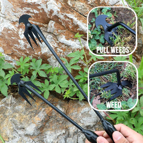 MOTEERLLU effective on common weeds like crabgrass and thistles in lawns and beds.