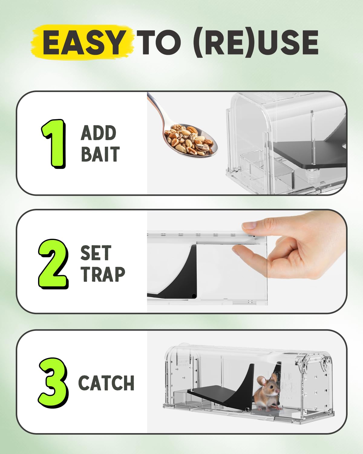 Motel Mouse instruction video link provides quick guidance for humane catching.
