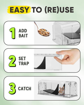 Motel Mouse instruction video link provides quick guidance for humane catching.