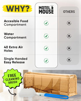 Motel Mouse live catch trap open shows easy access for stress-free capture
