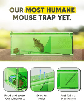 Motel Mouse live-release mechanism shown for stress-free release without touching the mouse.