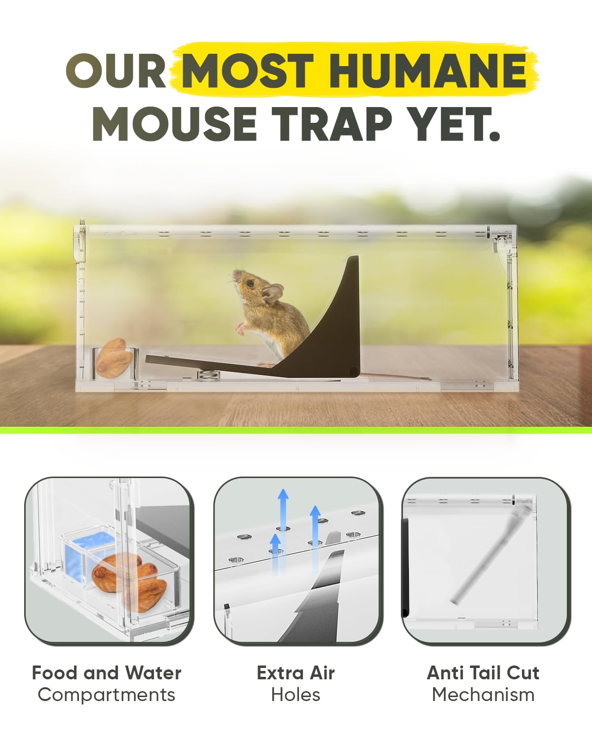 Motel Mouse live trap inside view highlights roomy interior for humane capture.