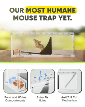Motel Mouse live trap inside view highlights roomy interior for humane capture.