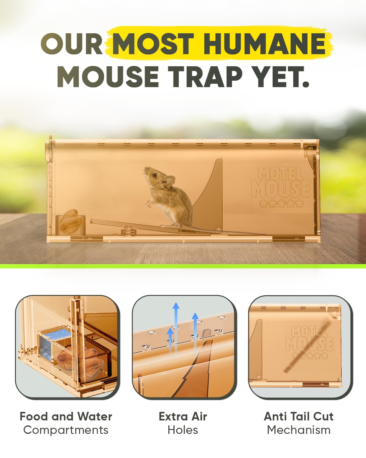 Motel Mouse four-pack packaging highlights value and ready-to-use traps