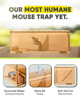 Motel Mouse four-pack packaging highlights value and ready-to-use traps