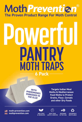 MothPrevention pantry moth traps pack 6 reduce moths efficiently in kitchens.