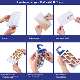 MothPrevention traps long-lasting indicate three months of coverage