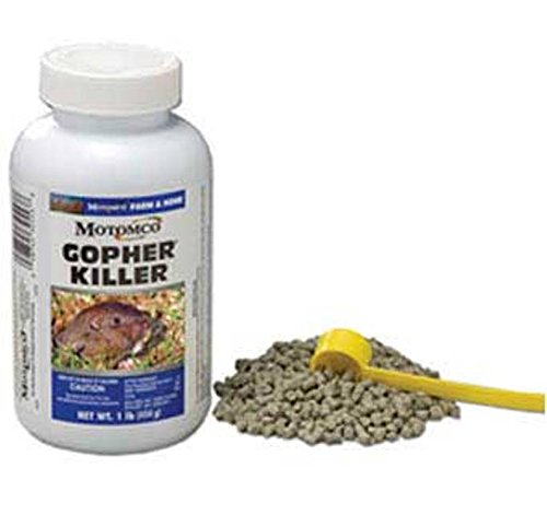 Motomco Gopher Killer used at a tunnel entrance for precise baiting.