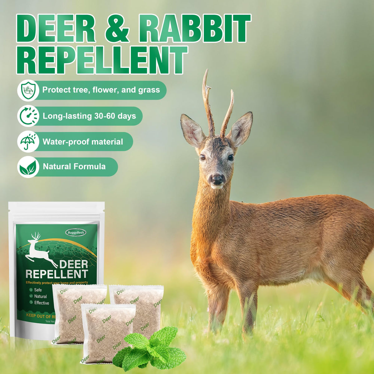 Motrapso attic deer barrier protects stored items from deer intrusion