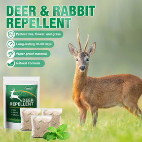 Motrapso attic deer barrier protects stored items from deer intrusion