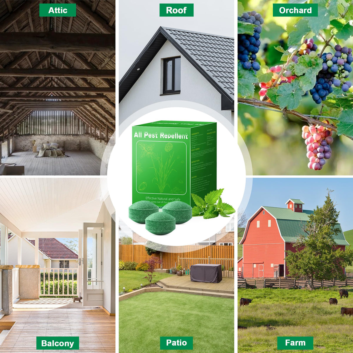 Motrapso pet-safe-usage highlights plant-based ingredients safe for families when used as directed.