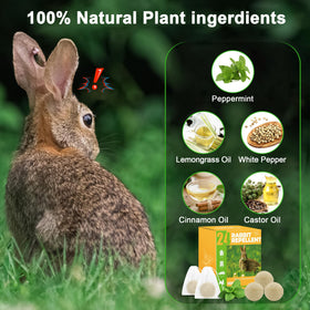 Motrapso rabbit repellent garden scene showing outdoor plant protection.