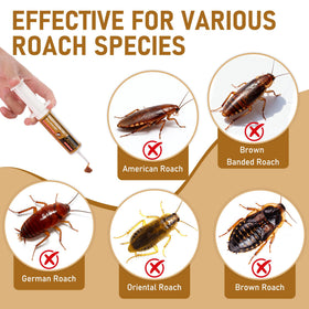 Motrapso roach gel 30g tube close-up, effective formula for crevices and nests.