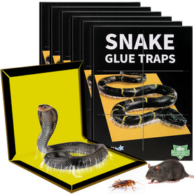 Motrapso sticky snake trap front view shows large 12x8.3-inch surface for wide coverage.