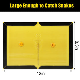 Motrapso-sticky-snake-trap-pack-shot shows six traps ready for indoor and outdoor use.