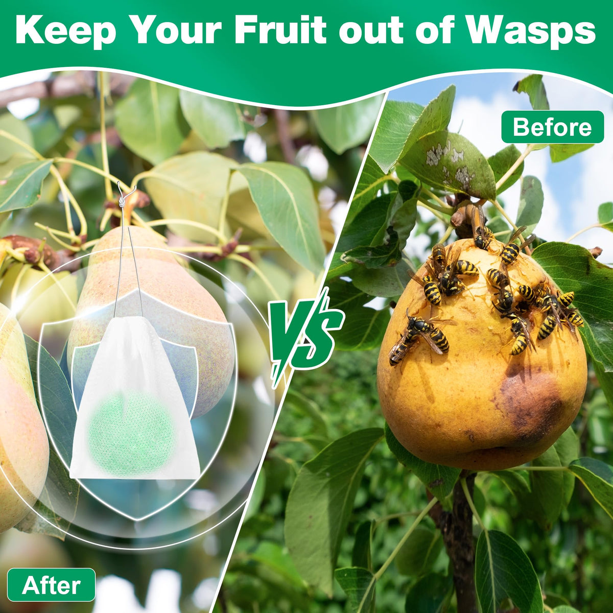 Motrapso Wasp-Repellent ball near the porch protects outdoor seating.
