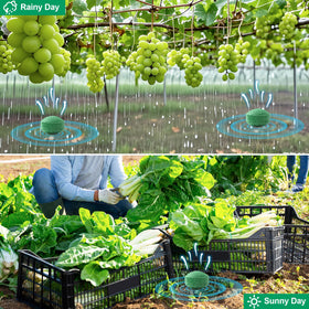Motrapso weatherproof formula remains effective in rain and sun.