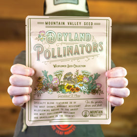 Mountain Valley 80k seeds in a durable mix for drought-tolerant landscapes.