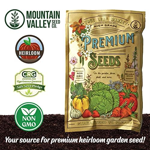 Mountain Valley Clover Trio seeds show robust germination across sun to shade.