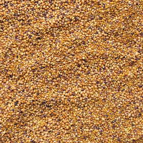 Mountain Valley Clover Trio seeds close-up highlighting high germination potential for thriving cover crops.