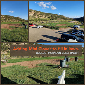 Mountain Valley Micro Clover Seed dispersal diagram for patch repair and soil cover