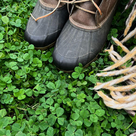 Mountain Valley Micro Clover seed pack close-up showing tiny leaves for a drought-tolerant lawn