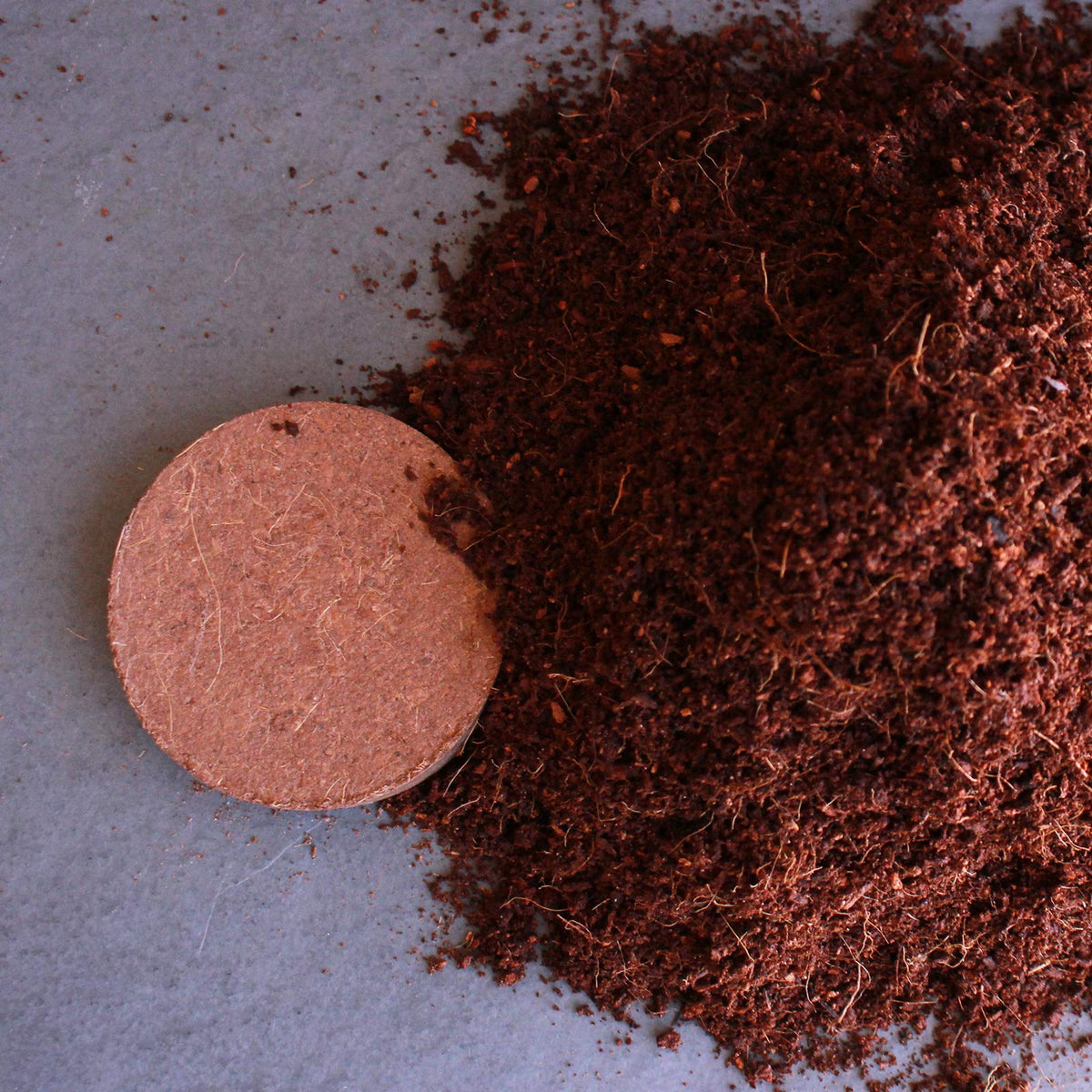  hydrated coco coir forms versatile growing medium for indoors and outdoors.