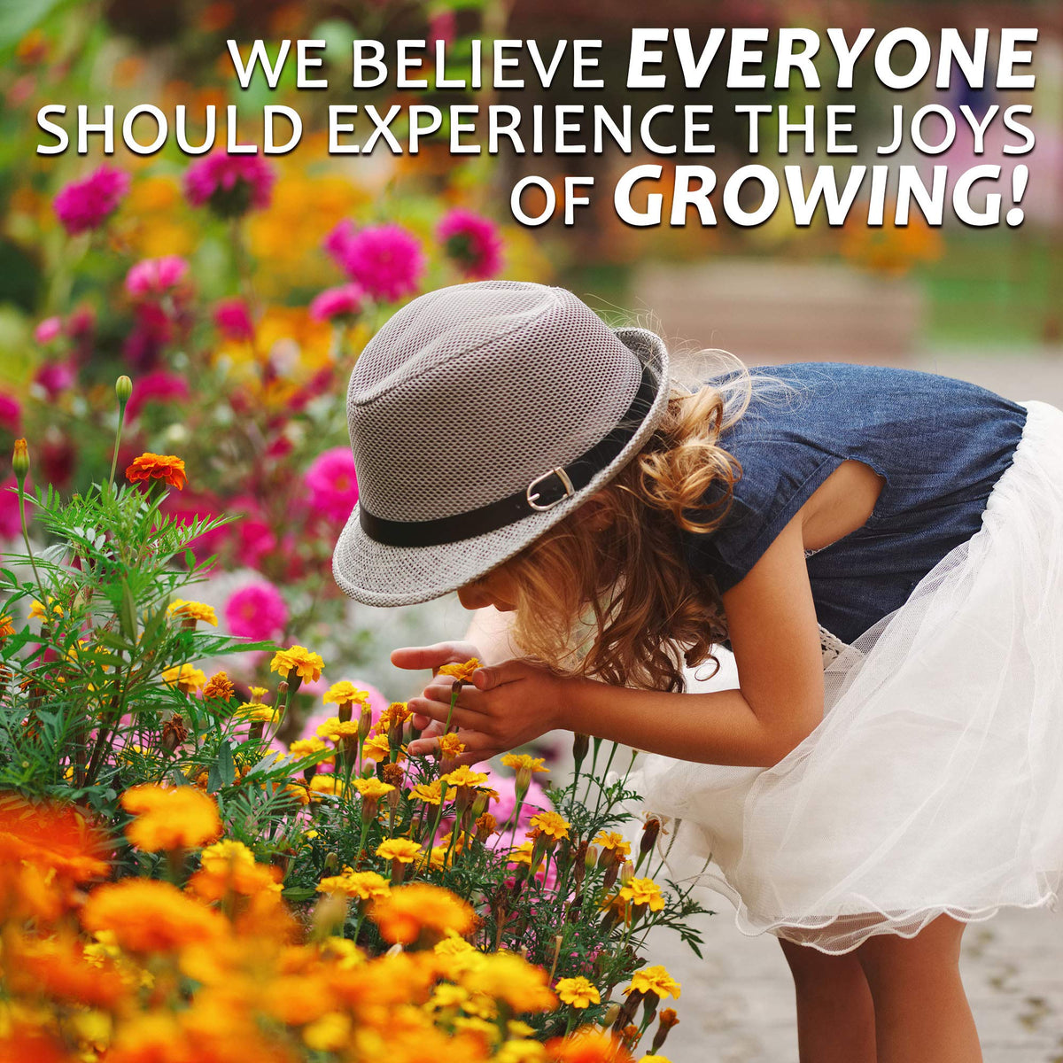 Mountain Valley Save the Bees mix ready to plant in containers or beds.